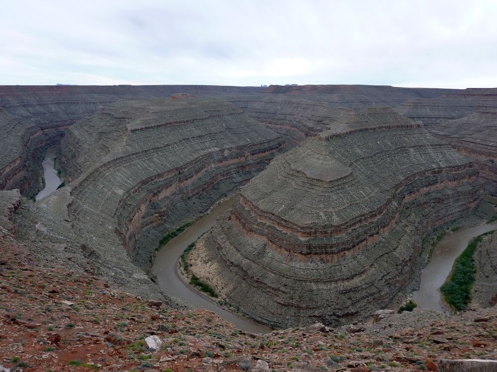 gooseneck (4).JPG
